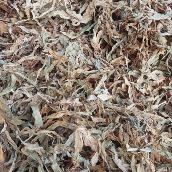 1kg Trà lá trinh nữ hoàng cung khô chuẩn sạch