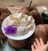 1kg Sâm tố nữ bột và viên nguyên chất
