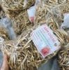1kg Trà Sâm cau đỏ khô cao cấp hàng mới thơm ngon