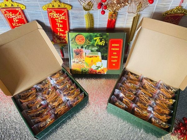 Hộp 20 gói trà đông trùng hạ thảo sấy thăng hoa thất vị 7 vị
