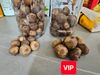 Tỏi đen VIP cao cấp Yên Châu Sơn La bao ăn
