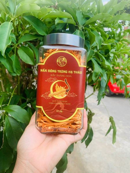 Trà đông trùng hạ thảo nấm sấy thăng hoa cao cấp hũ 50g tem đỏ Huy Cương