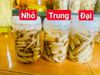Mối chúa combo 30 con