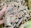 Tam thất bắc khô đủ loại củ bột thái lát