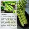 Bột cần tây sấy lạnh hàng nhà làm