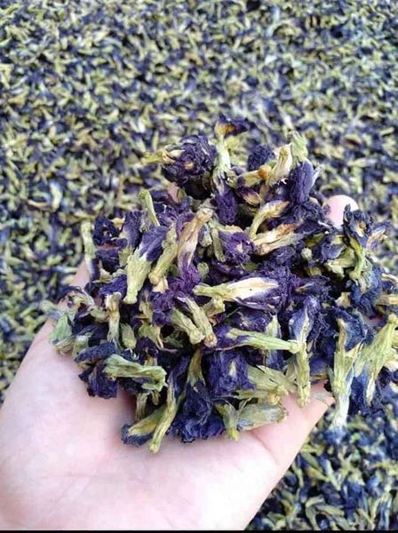 Trà hoa đậu biếc loại 1 hàng mới thơm ngon không ẩm mốc