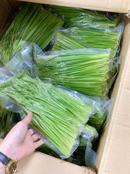 Đòng đòng nếp ủ sẵn 1 năm