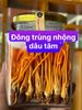 Đông trùng hạ thảo ký chủ nhộng tằm 40 con/hũ