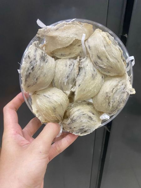 Yến sào thô AB già ít lông Nha Trang 100g