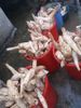 Bột sắn dây nguyên chất và vị Chanh leo (Chanh dây) cực ngon 1kg (hàng VN)