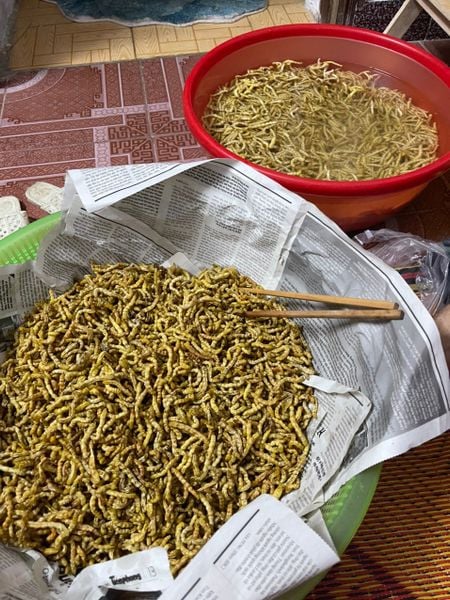 Sâu chít khô hàng chuẩn Tây Bắc bao ăn 100g-1kg