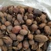 Thảo quả khô thơm sạch