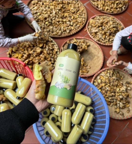 Nước cốt gừng tươi tràm tỏi nguyên chất