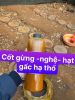 Cốt gừng nghệ hạt gấc hạ thổ