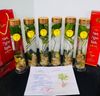 Sâm Ngọc Linh trồng lên bình 1 lít