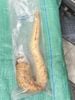 Nhục thung dung tươi hàng tuyển tươi già 1kg