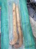 Nhục thung dung tươi hàng tuyển tươi già 1kg