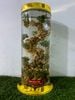 Sâm Ngọc Linh lên bình 16.8 lít