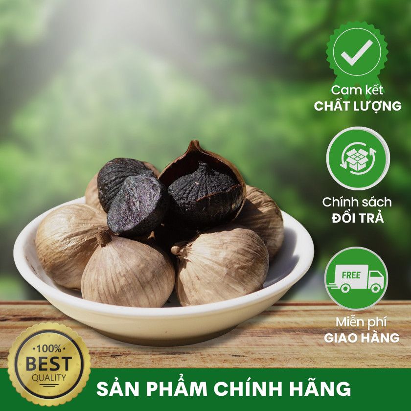 Tỏi đen cao cấp Sơn La hàng Việt Nam chất lượng cao – Thảo Dược 2B