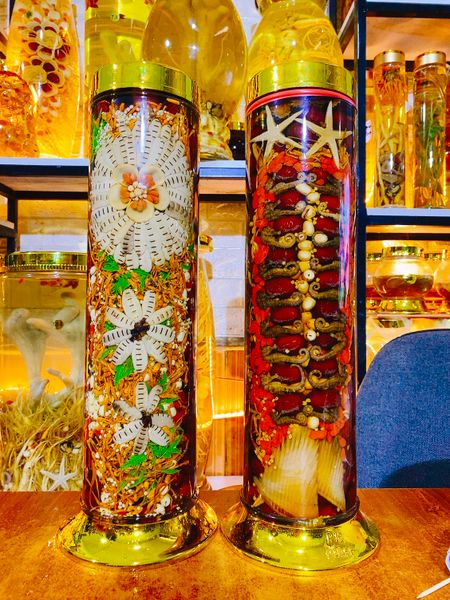 Cặp bình cá ngựa tươi và mối chúa 4.8 lít hàng đặt làm