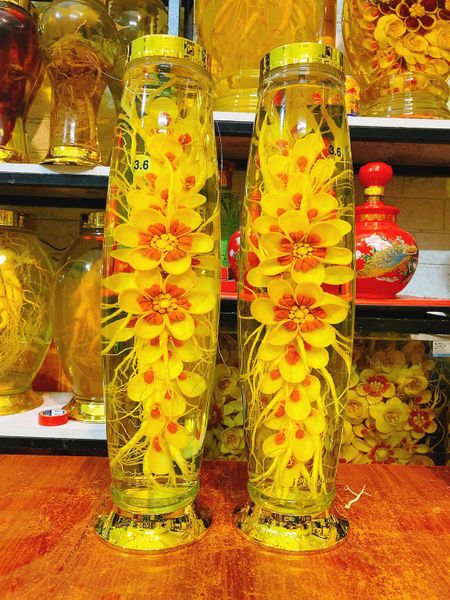 Bình hoa sâm Hàn Quốc làm từ nhân sâm tươi 3.6 lít cao 50cm hàng đặt làm