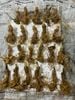 Giá tham khảo Sâm Ngọc Linh Lai Châu trồng đầu dài rễ tơ size nhỏ size 17-18-20 củ/kg