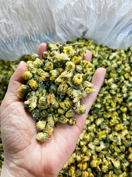 Trà hoa Cúc nụ kim cương thơm ngon