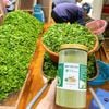 Bột diếp cá sấy lạnh nguyên chất hàng nhà làm 1kg