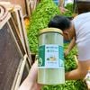 Bột cần tây sấy lạnh hàng nhà làm