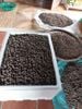 Sim tươi sơ chế sẵn bình 5kg