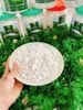 Bột sắn dây nếp nguyên chất