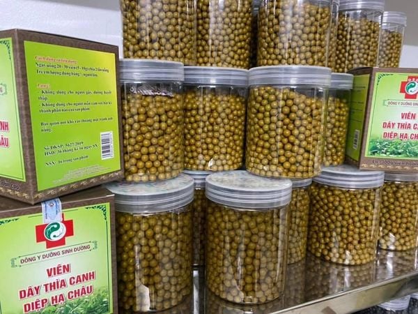 Viên thìa canh diệp hạ châu 300g Dưỡng Sinh Đường