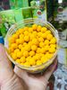 Viên tinh nghệ nếp đỏ sữa ong chúa thủ công loại 1