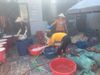 Tinh bột sâm tố nữ nhà làm