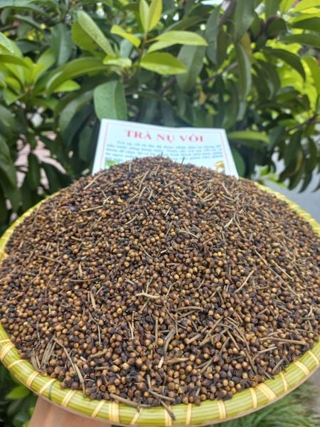 1kg Nụ vối sạch ngon bao test