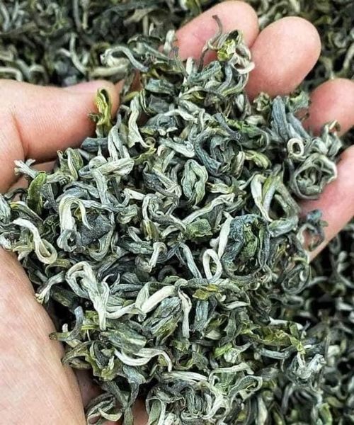 Chè shan tuyết cổ thụ Hà Giang loại 1