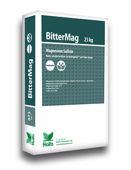  BitterMag 