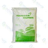  Magnesium Sulphate 