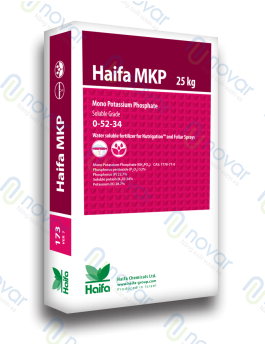  Haifa MKP 