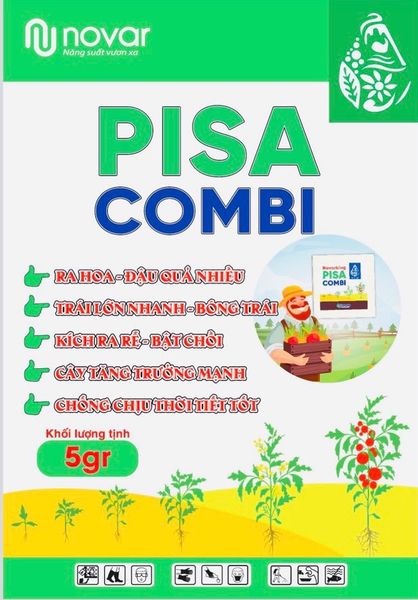  PisaCombi 