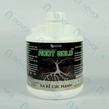  ROOT GOLD 