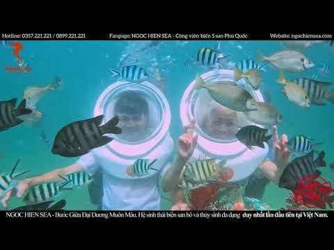  GÓI TIÊU CHUẨN: ĐI BỘ DƯỚI ĐÁY BIỂN 