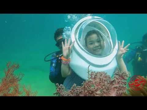 GÓI CAO CẤP: ĐI BỘ DƯỚI ĐÁY BIỂN 