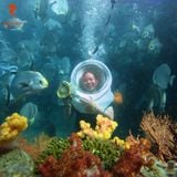  GÓI CAO CẤP: ĐI BỘ DƯỚI ĐÁY BIỂN 