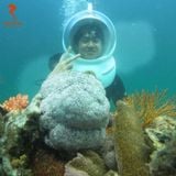  GÓI TIÊU CHUẨN: ĐI BỘ DƯỚI ĐÁY BIỂN 