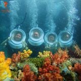  GÓI CAO CẤP: ĐI BỘ DƯỚI ĐÁY BIỂN 