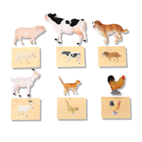  Mô Hình Động Vật - Đồ Chơi Montessori