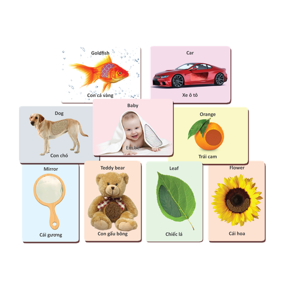 Thẻ Ảnh Cảm Nhận - Đồ Chơi Thông Minh