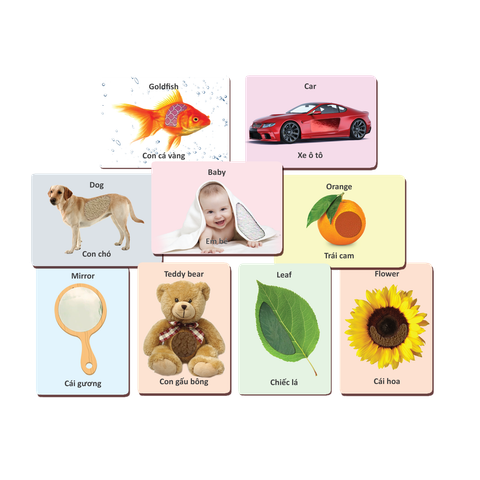  Thẻ Ảnh Cảm Nhận - Đồ Chơi Thông Minh