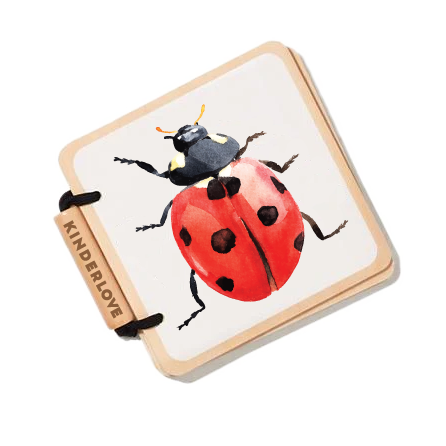 Sách Gỗ Màu - Đồ Chơi Cho Trẻ Sơ Sinh